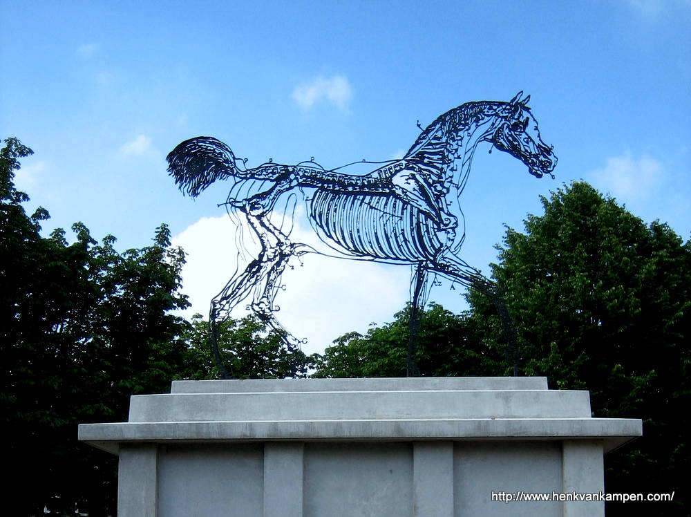 Horse Power (Zadok Ben-David), Den Haag
