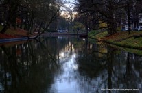 Maliesingel