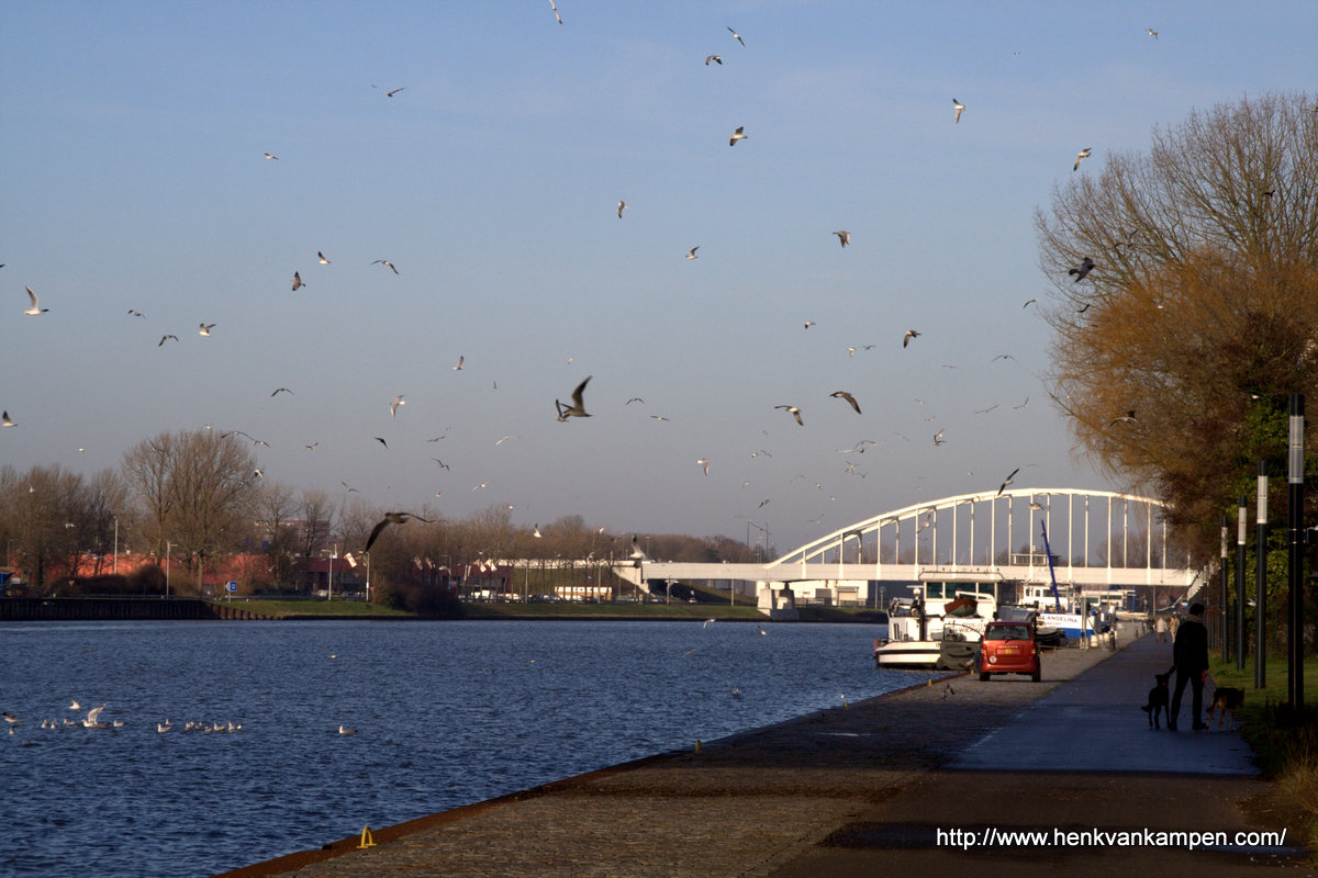Langs het Amsterdam-Rijnkanaal, Utrecht