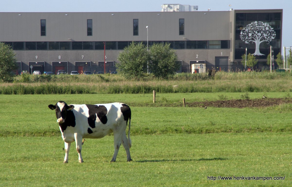 Distributiecentrum V&D, Nieuwegein