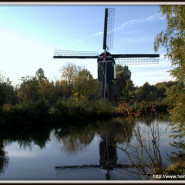 Molen