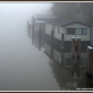 Mist